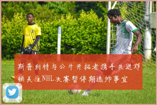 斯普利特与公牛开拓者携手共进邓顿关注NHL决赛暂停期选帅事宜